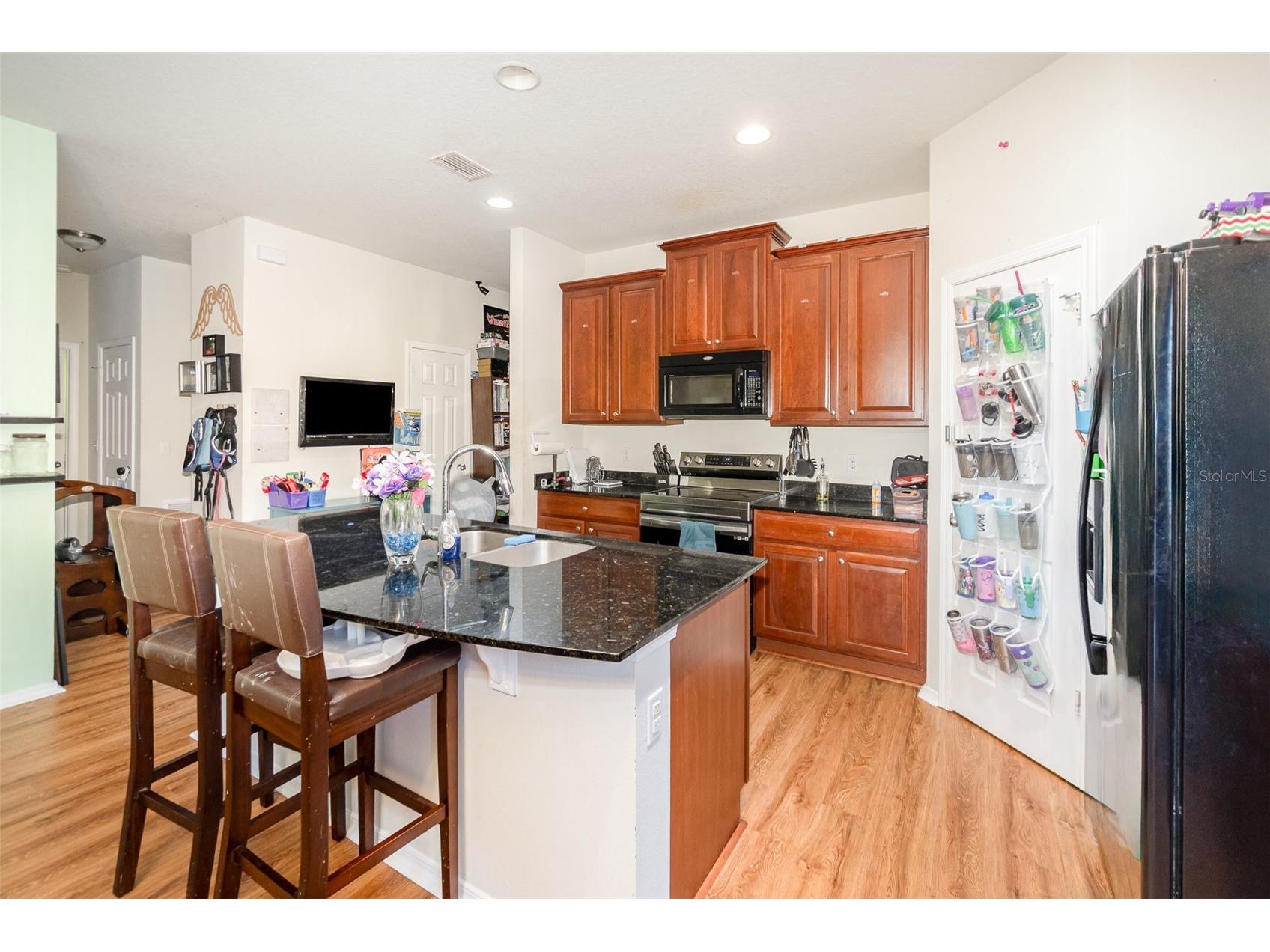 30308 Cheval Street Mount Dora FL 32757 O6319648 image11