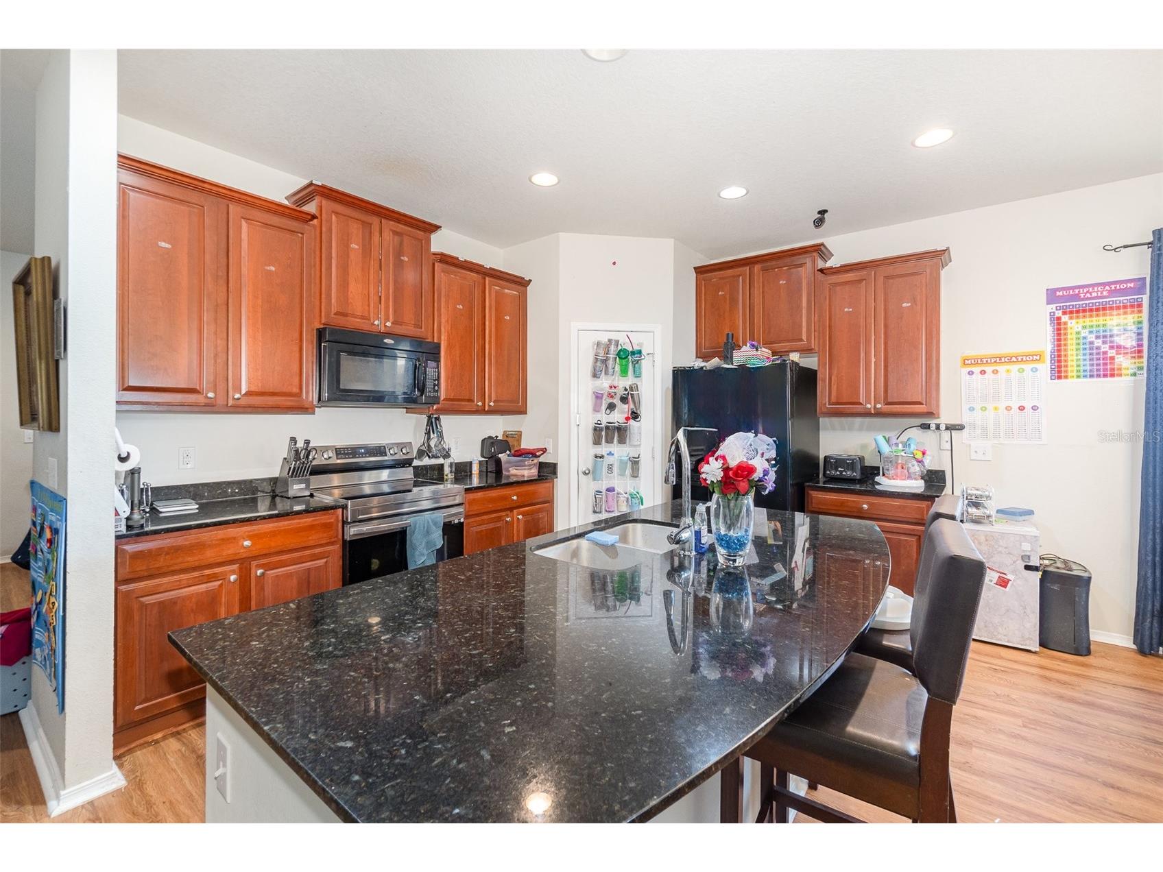 30308 Cheval Street Mount Dora FL 32757 O6319648 image12