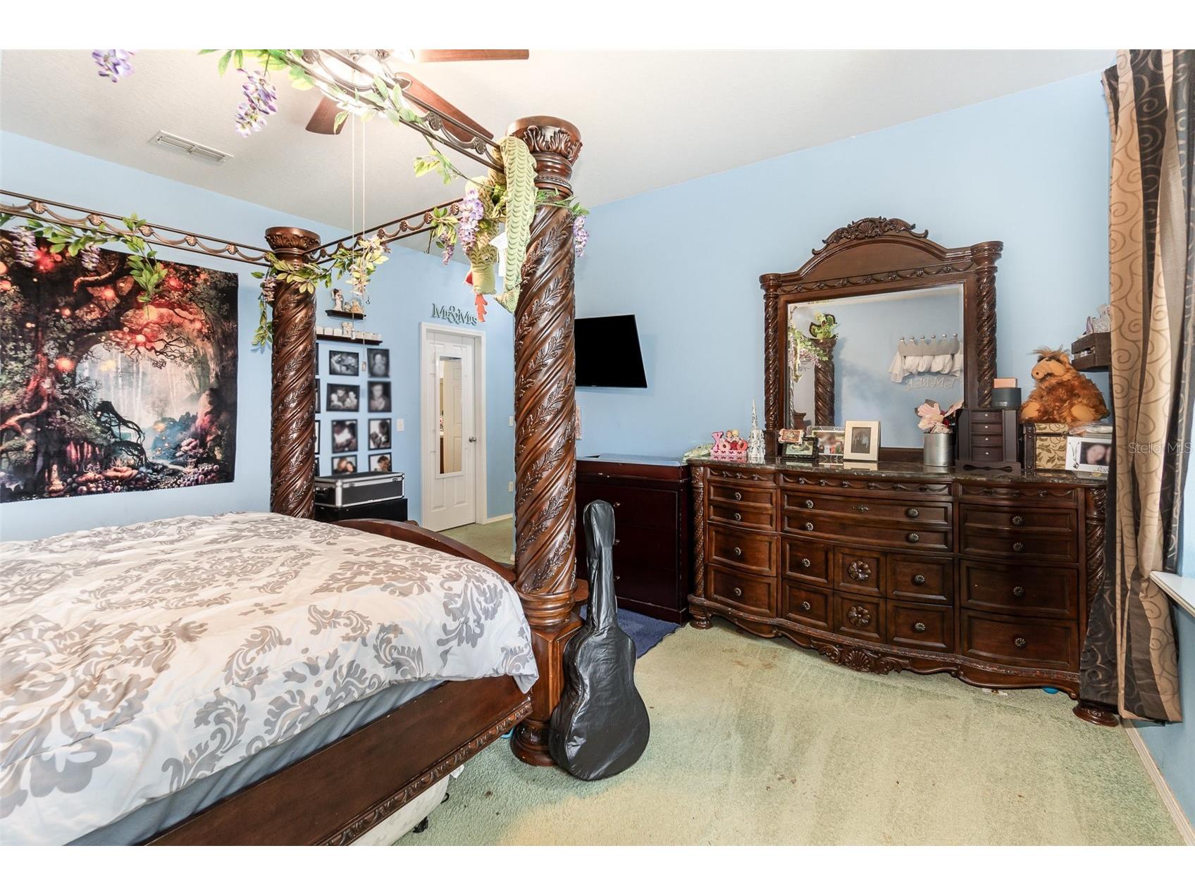 30308 Cheval Street Mount Dora FL 32757 O6319648 image14