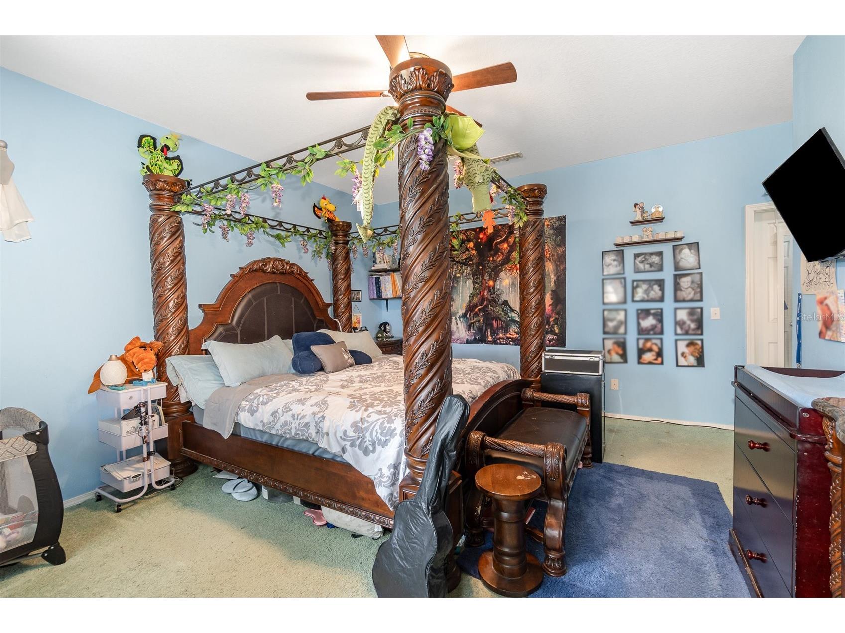 30308 Cheval Street Mount Dora FL 32757 O6319648 image15