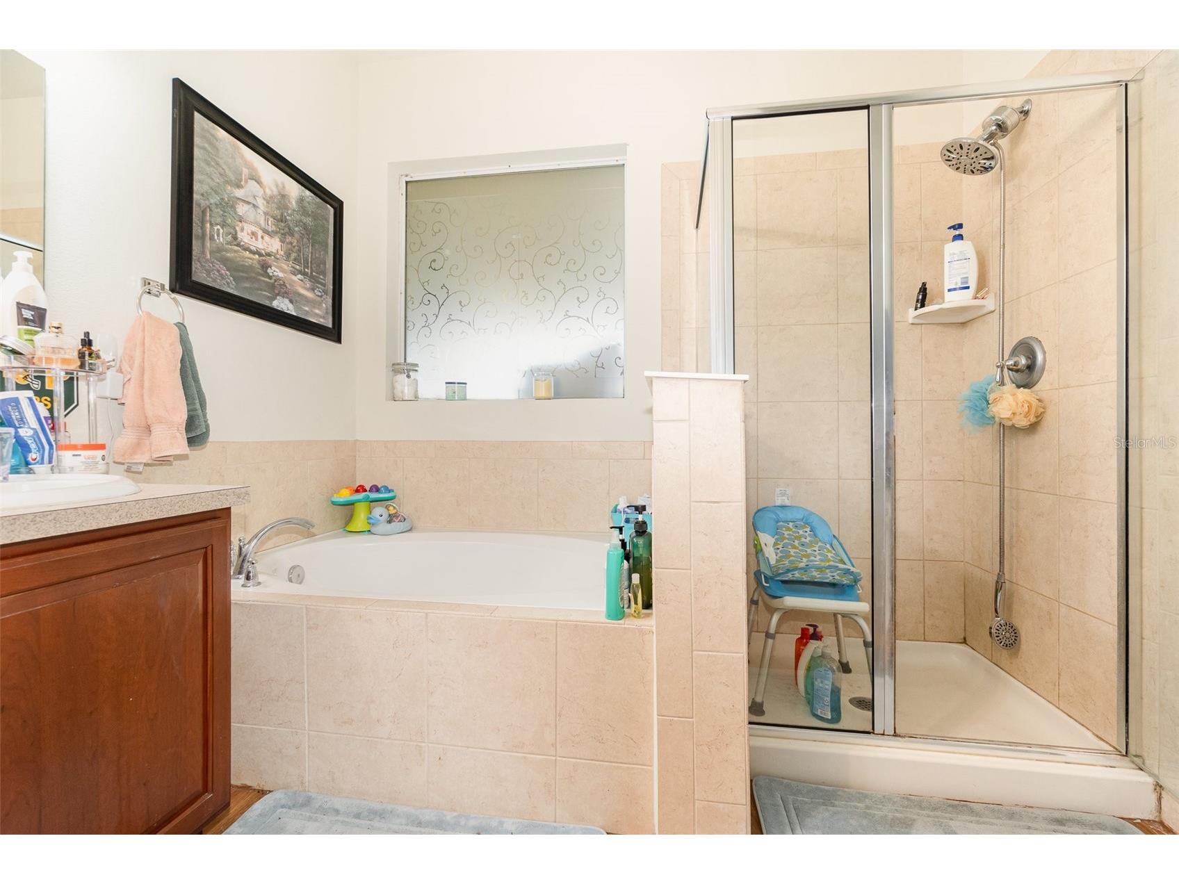 30308 Cheval Street Mount Dora FL 32757 O6319648 image17