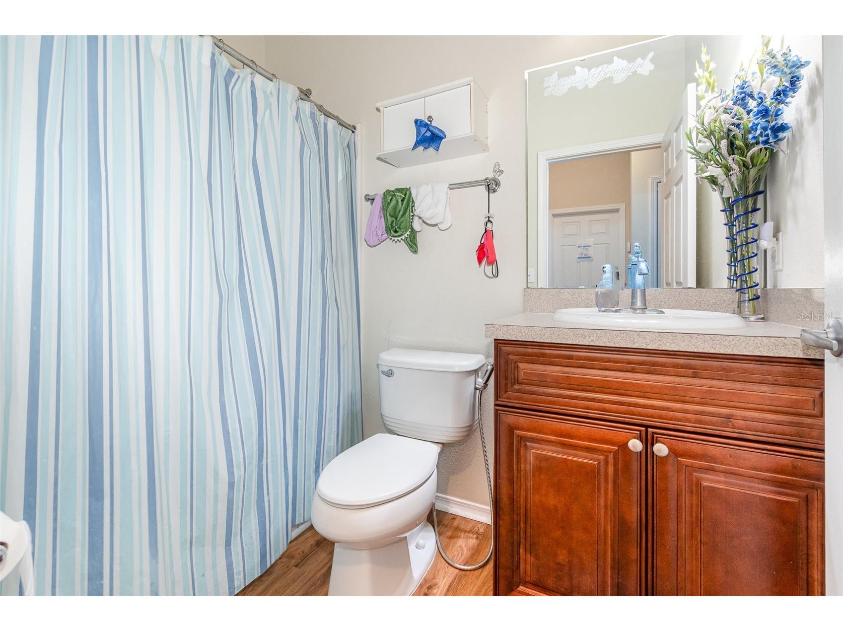 30308 Cheval Street Mount Dora FL 32757 O6319648 image24