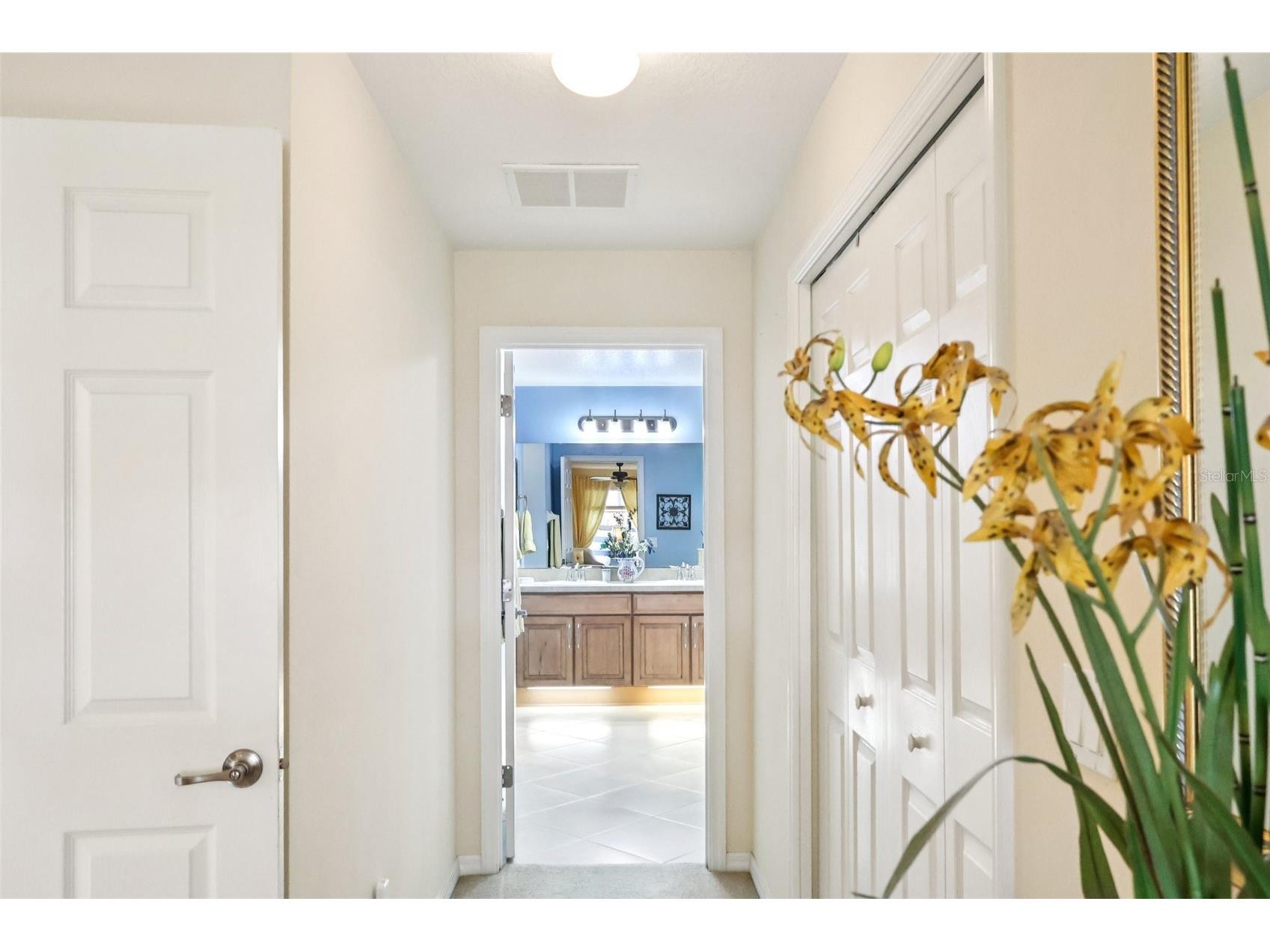 30308 Lipizzan Terrace Mount Dora FL 32757 G5100916 image24
