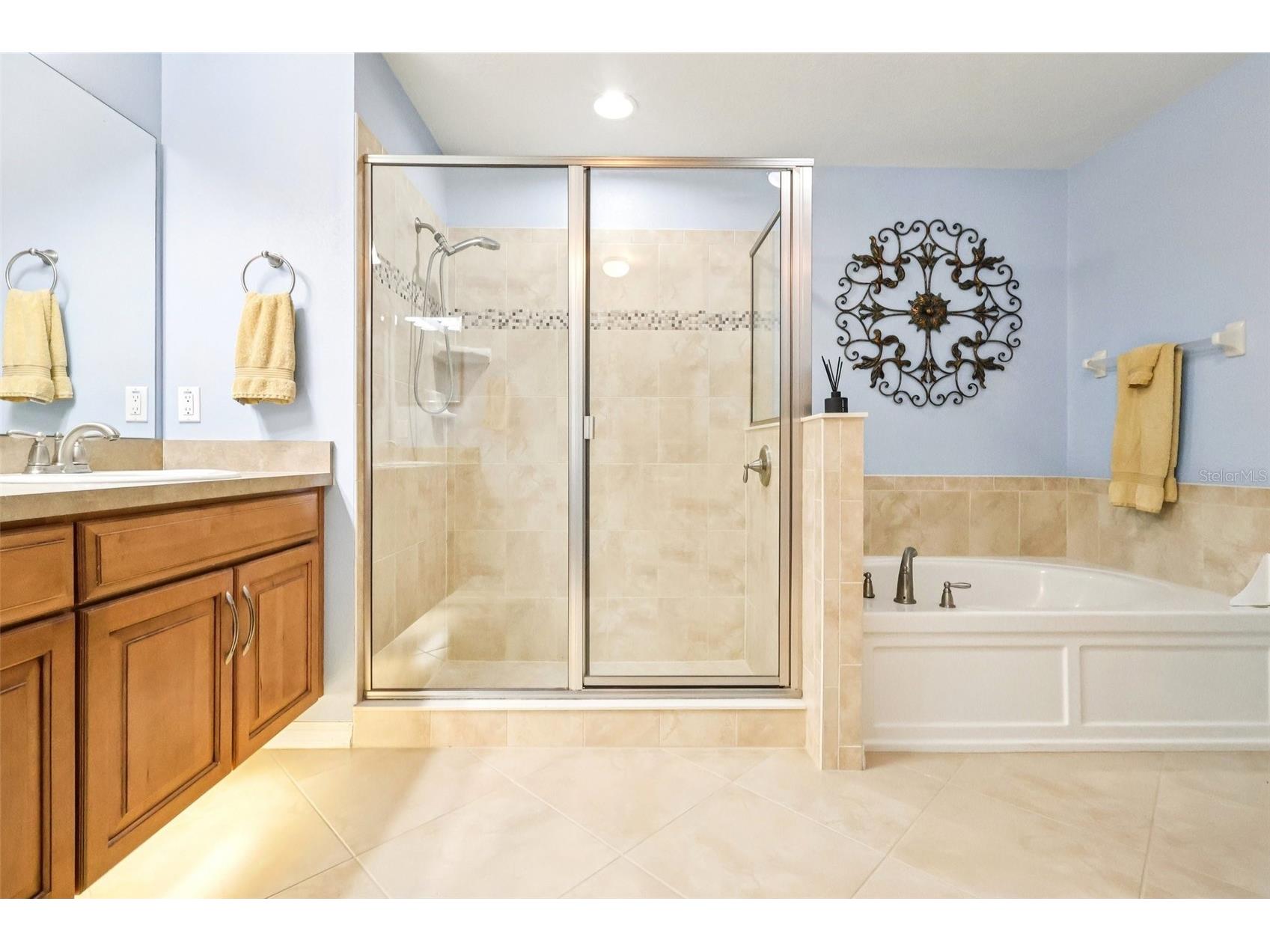 30308 Lipizzan Terrace Mount Dora FL 32757 G5100916 image26