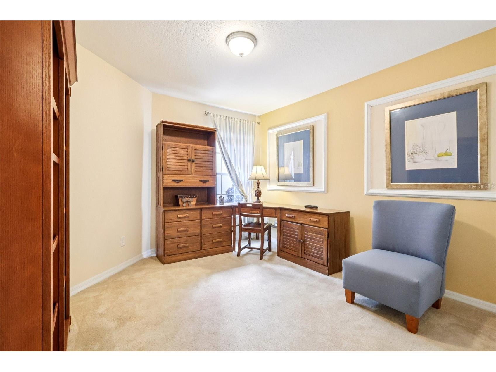 30308 Lipizzan Terrace Mount Dora FL 32757 G5100916 image32