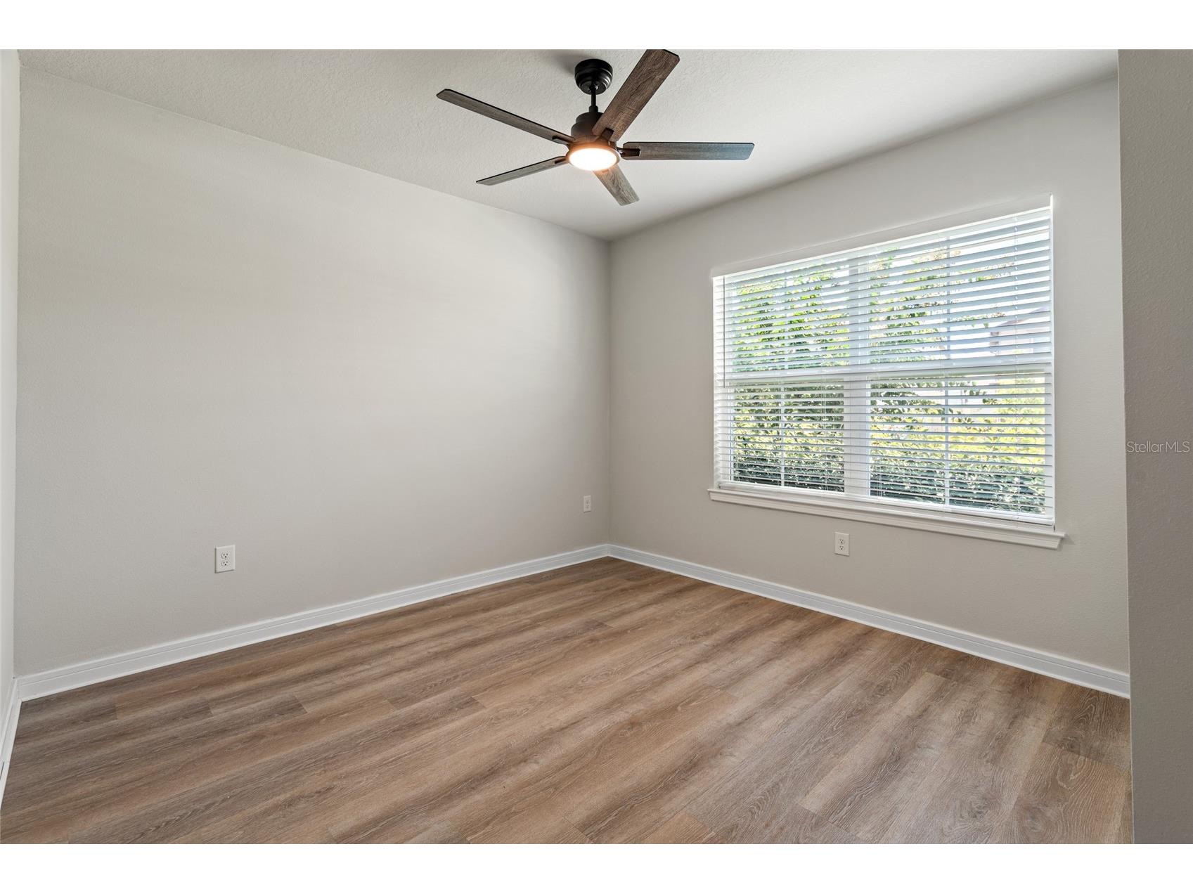 30309 Marquette Avenue Wesley Chapel FL 33545 TB8526976 image18