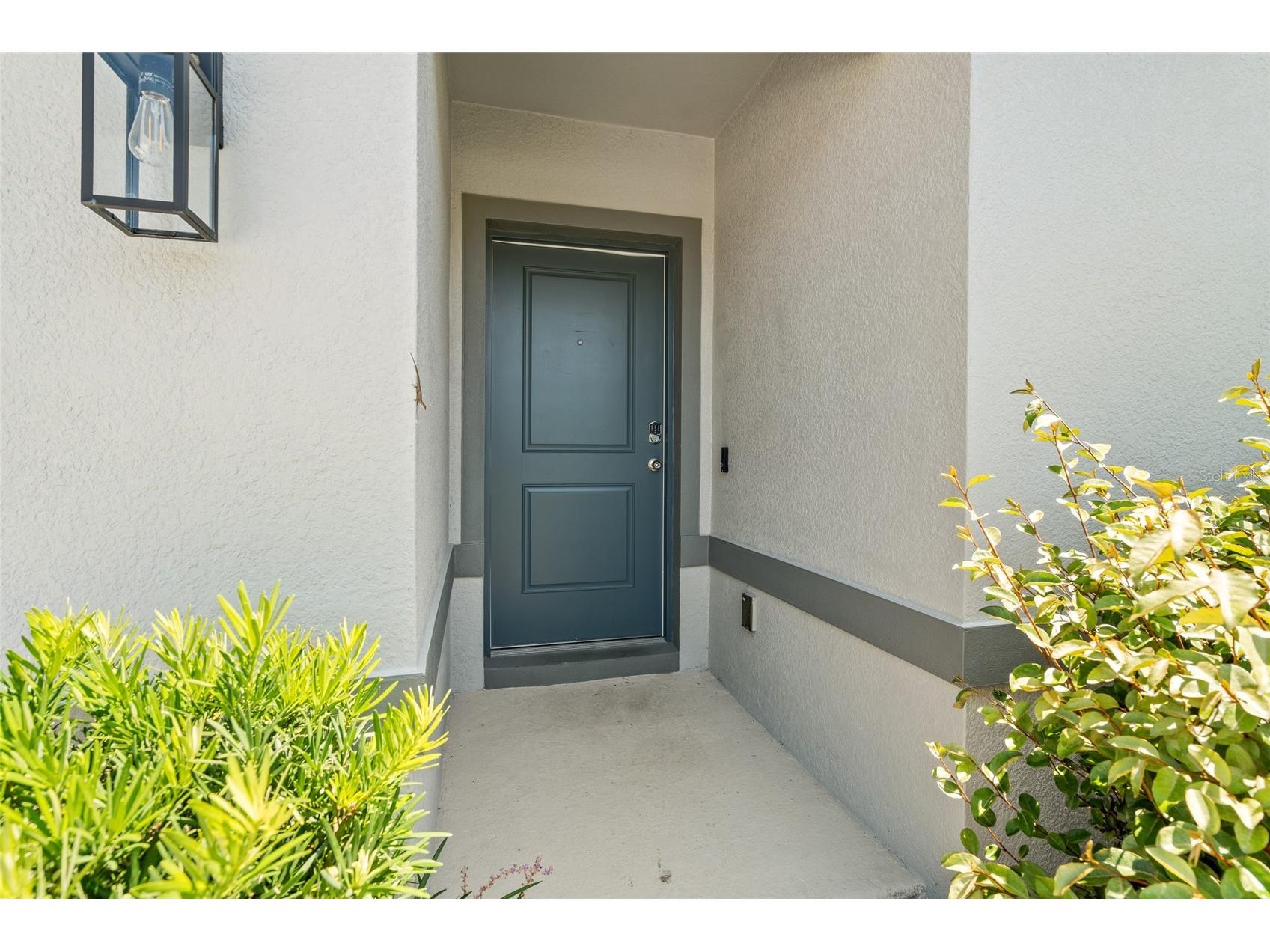 30309 Marquette Avenue Wesley Chapel FL 33545 TB8526976 image3