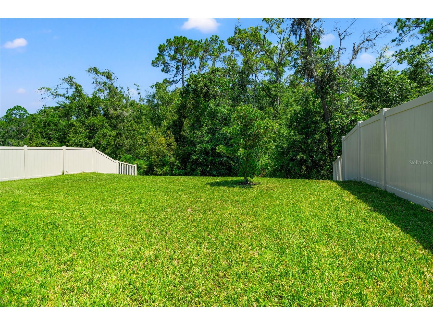 30309 Marquette Avenue Wesley Chapel FL 33545 TB8526976 image32