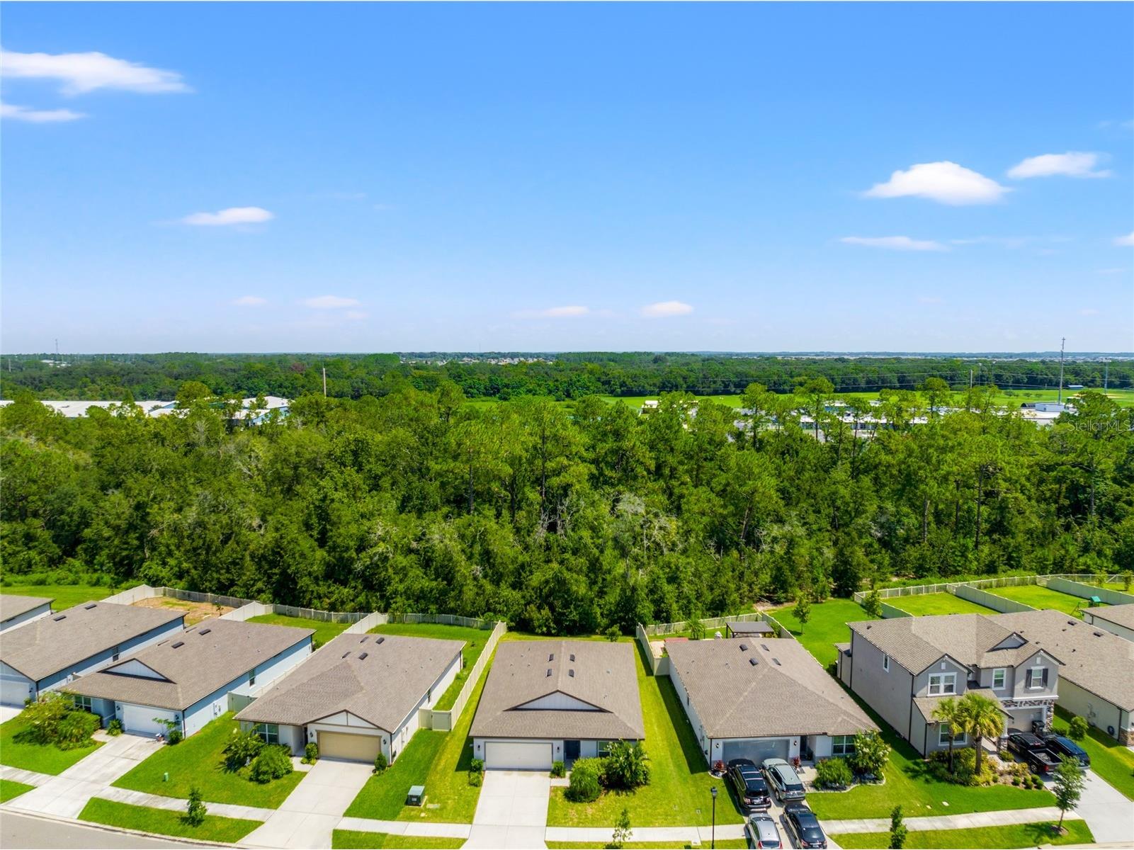 30309 Marquette Avenue Wesley Chapel FL 33545 TB8526976 image35