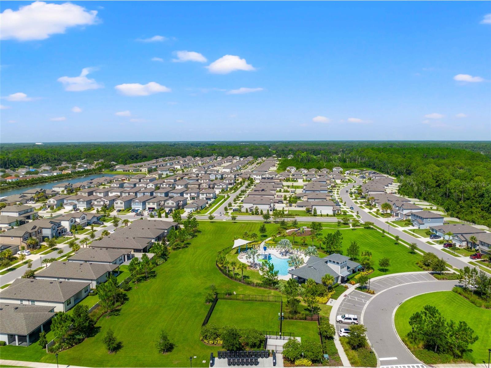 30309 Marquette Avenue Wesley Chapel FL 33545 TB8526976 image41