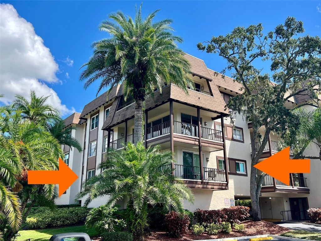 3031 Countryside Boulevard #21C Clearwater FL 33761 TB8307048 image1