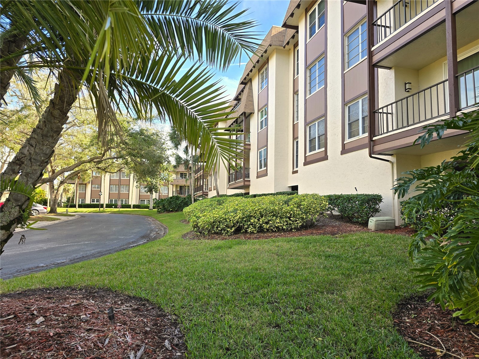 3031 Countryside Boulevard #35C Clearwater FL 33761 TB8476247 image2