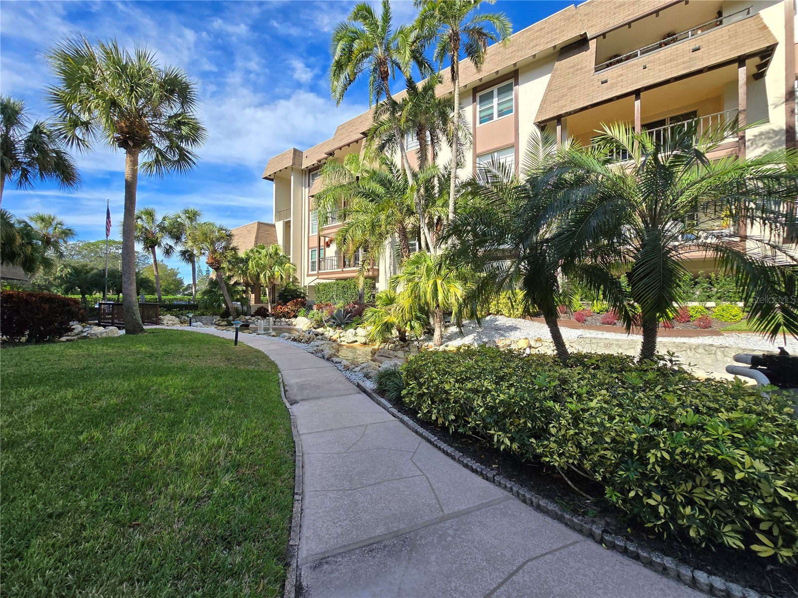 3031 Countryside Boulevard #35C Clearwater FL 33761 TB8476247 image4