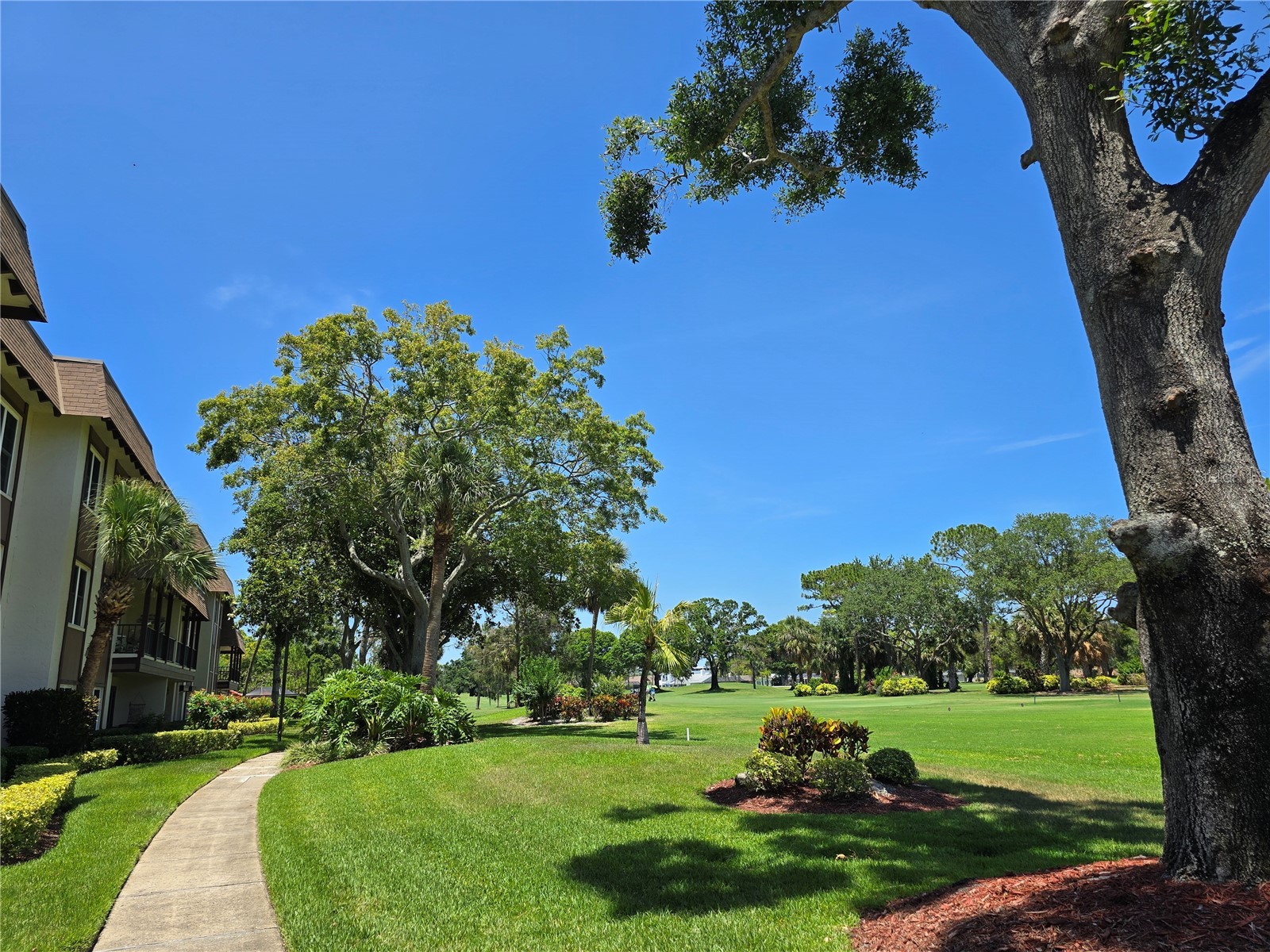 3031 Countryside Boulevard #35C Clearwater FL 33761 TB8476247 image43