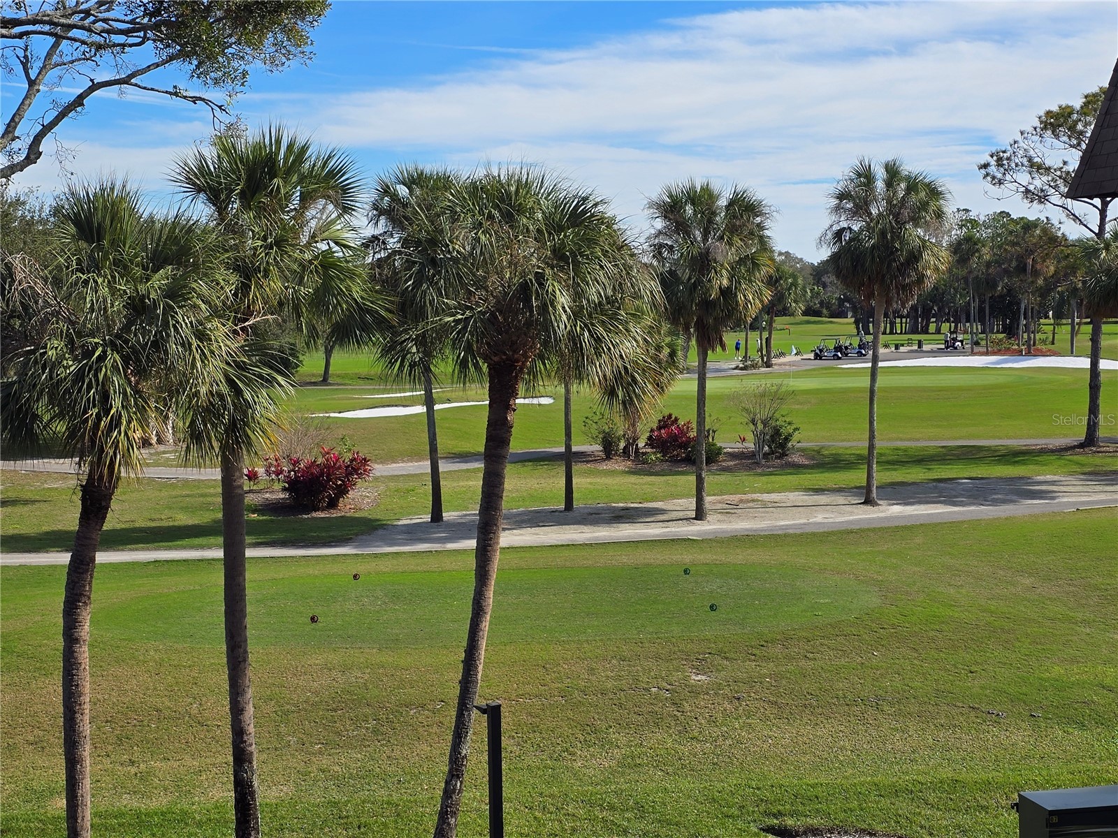 3031 Countryside Boulevard #35C Clearwater FL 33761 TB8476247 image45