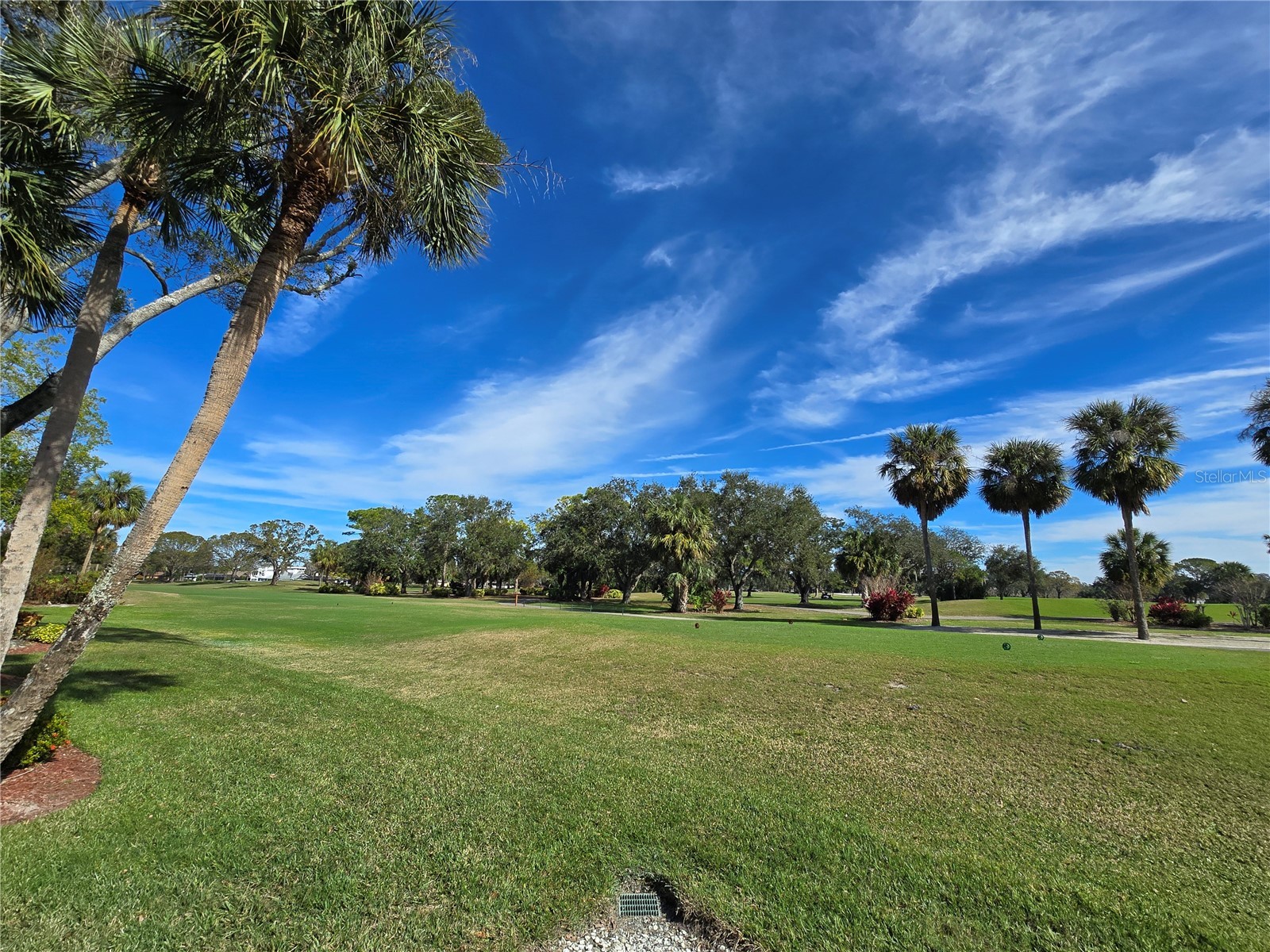 3031 Countryside Boulevard #35C Clearwater FL 33761 TB8476247 image46