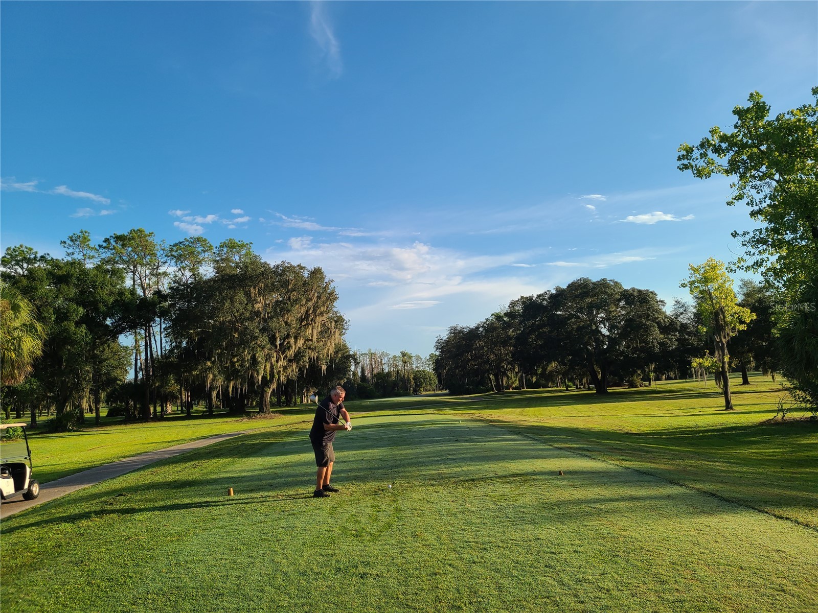 3031 Countryside Boulevard #35C Clearwater FL 33761 TB8476247 image47