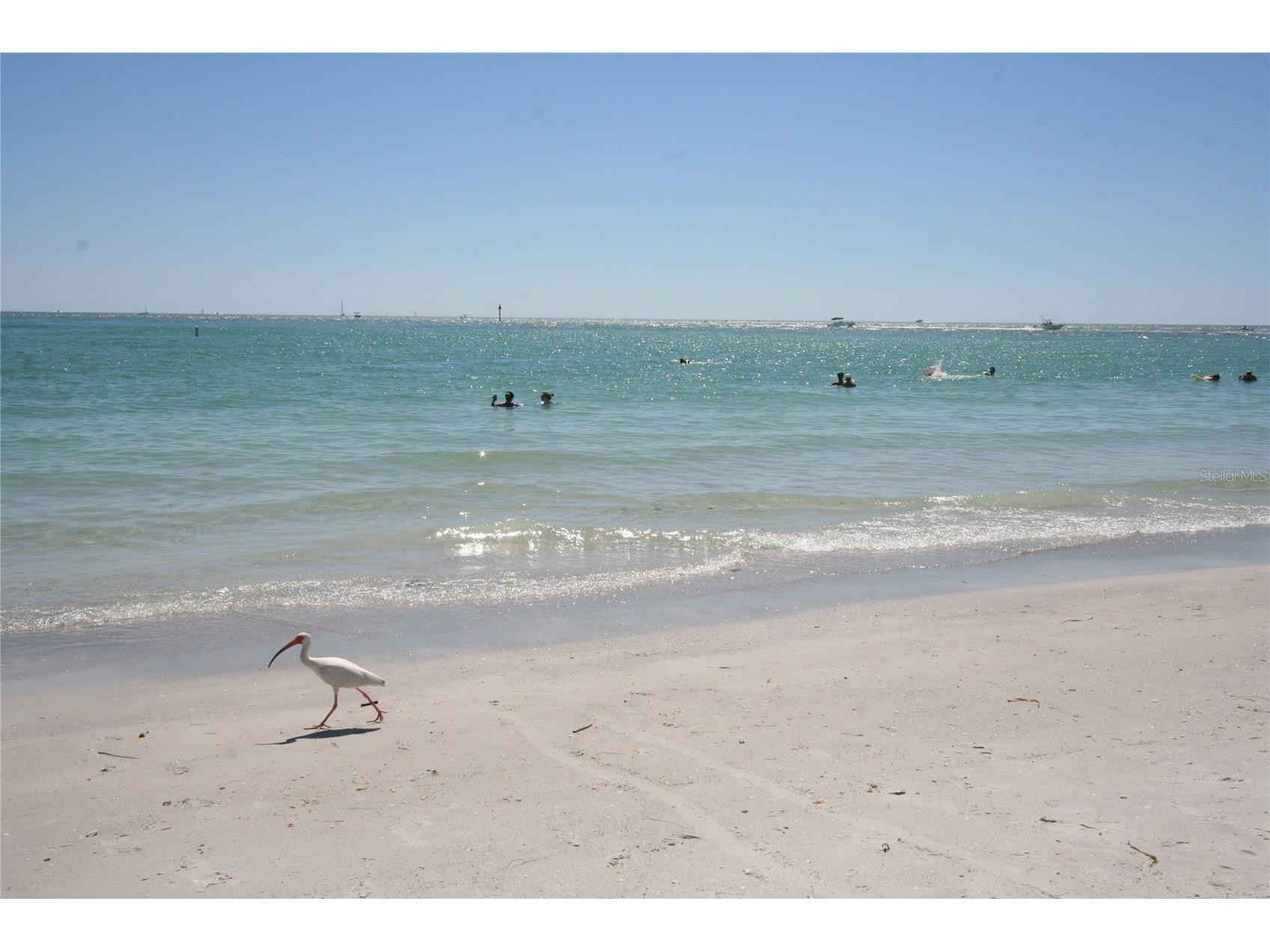 3031 Countryside Boulevard #35C Clearwater FL 33761 TB8476247 image49