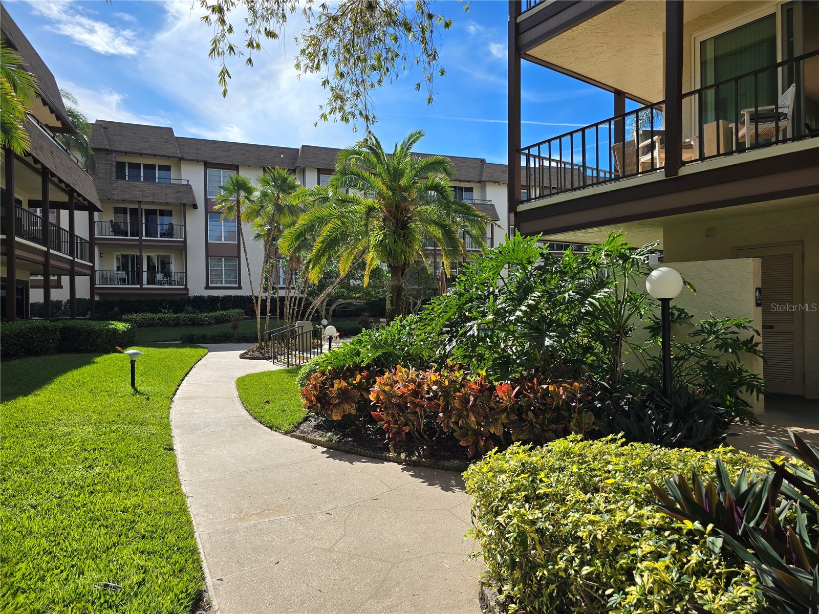 3031 Countryside Boulevard #35C Clearwater FL 33761 TB8476247 image5