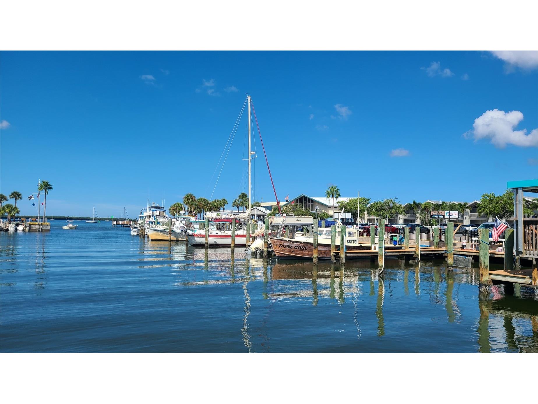 3031 Countryside Boulevard #35C Clearwater FL 33761 TB8476247 image50