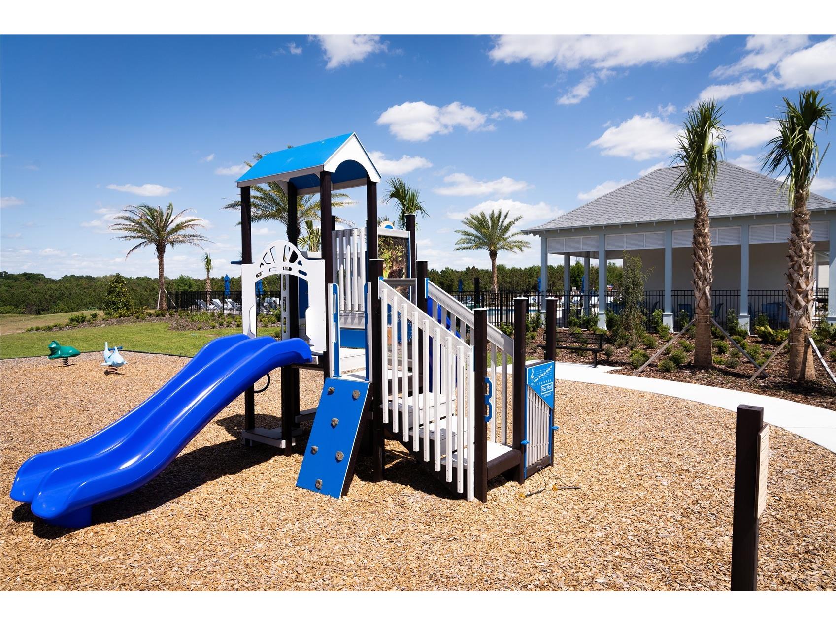 3031 Jessamine Drive Tavares FL 32778 S5148557 image31