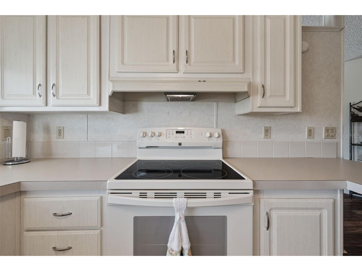 3031 Moss Hill Street Wesley Chapel FL 33543 TB8438891 image12