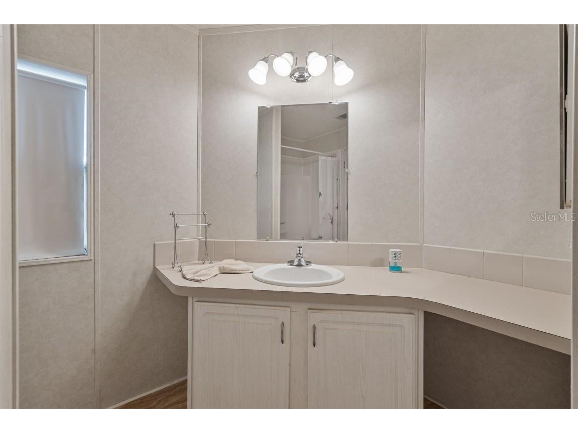 3031 Moss Hill Street Wesley Chapel FL 33543 TB8438891 image24