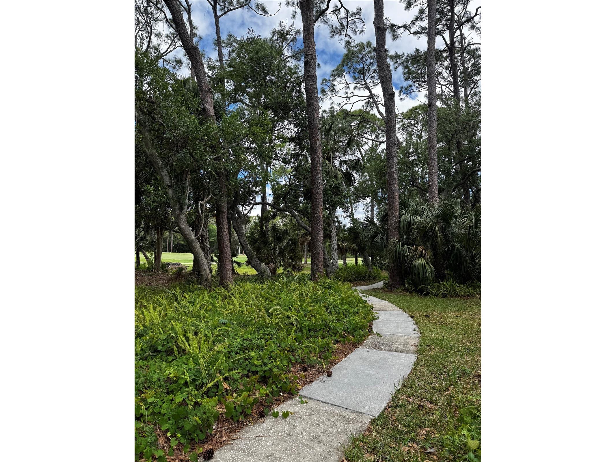 3031 Quail Hollow #16 Sarasota FL 34235 A4689429 image27