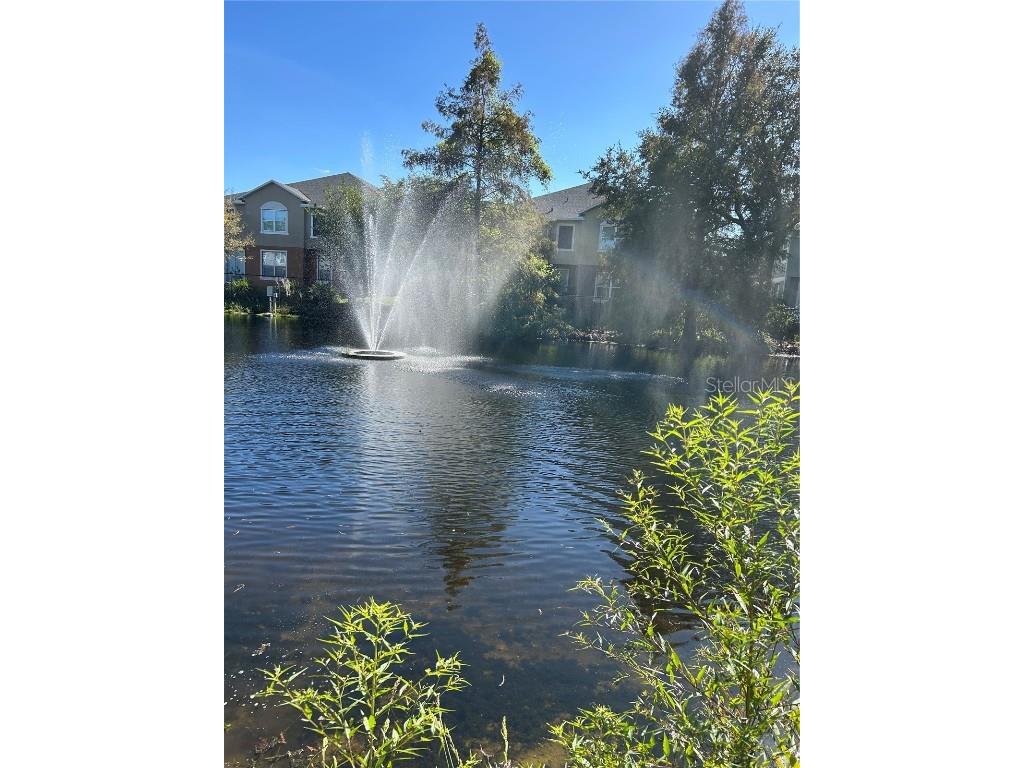 3031 San Jacinto Circle #3031 Sanford FL 32771 O6259095 image33