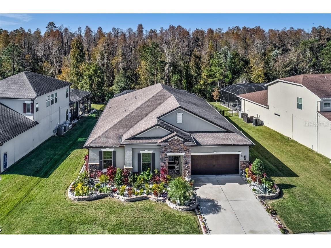 30310 Five Farms Avenue Wesley Chapel FL 33543 T3535214 image1