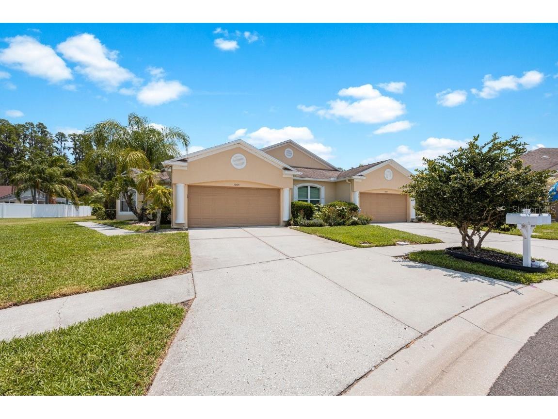 30315 Lettingwell Circle Wesley Chapel FL 33543 T3526570 image1