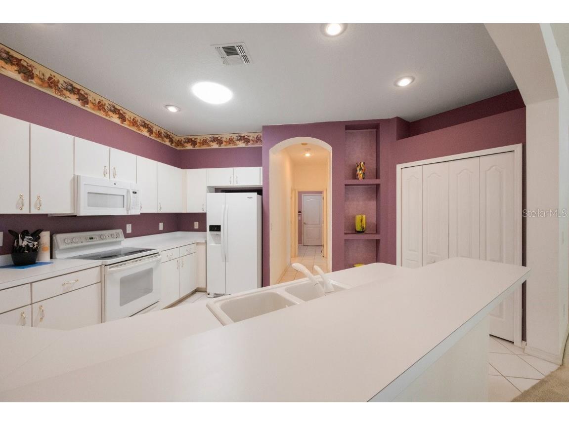 30315 Lettingwell Circle Wesley Chapel FL 33543 T3526570 image12