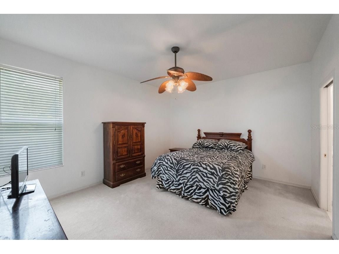 30315 Lettingwell Circle Wesley Chapel FL 33543 T3526570 image18