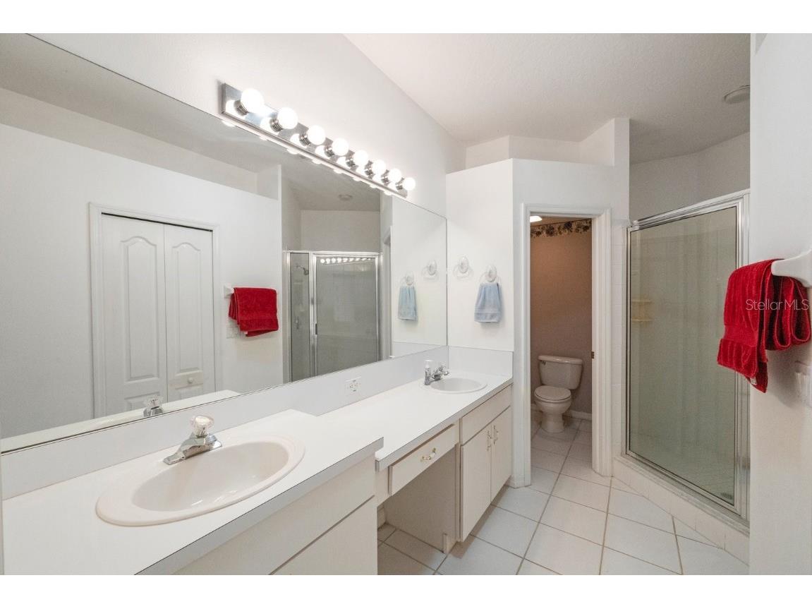 30315 Lettingwell Circle Wesley Chapel FL 33543 T3526570 image21