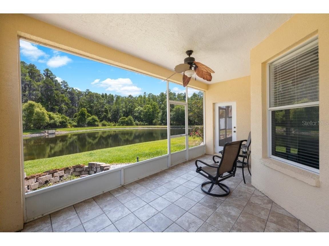 30315 Lettingwell Circle Wesley Chapel FL 33543 T3526570 image30