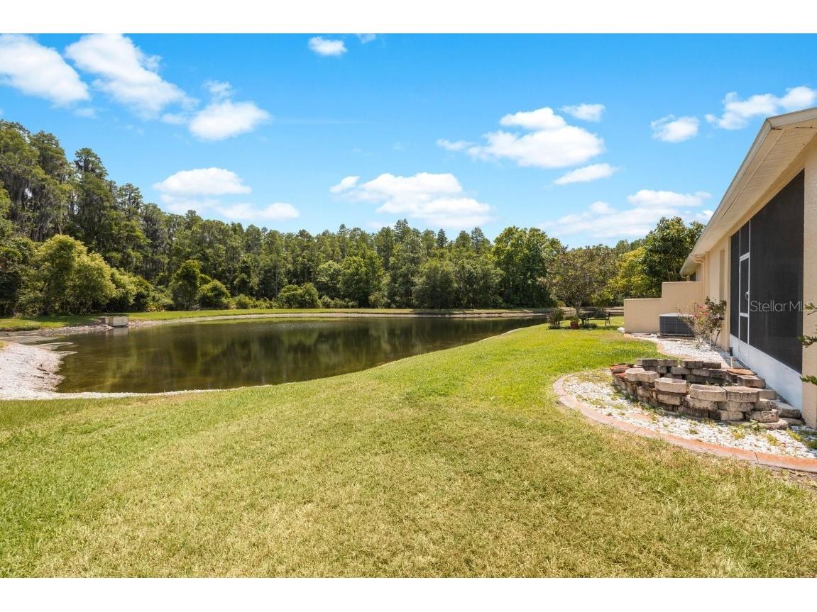 30315 Lettingwell Circle Wesley Chapel FL 33543 T3526570 image32