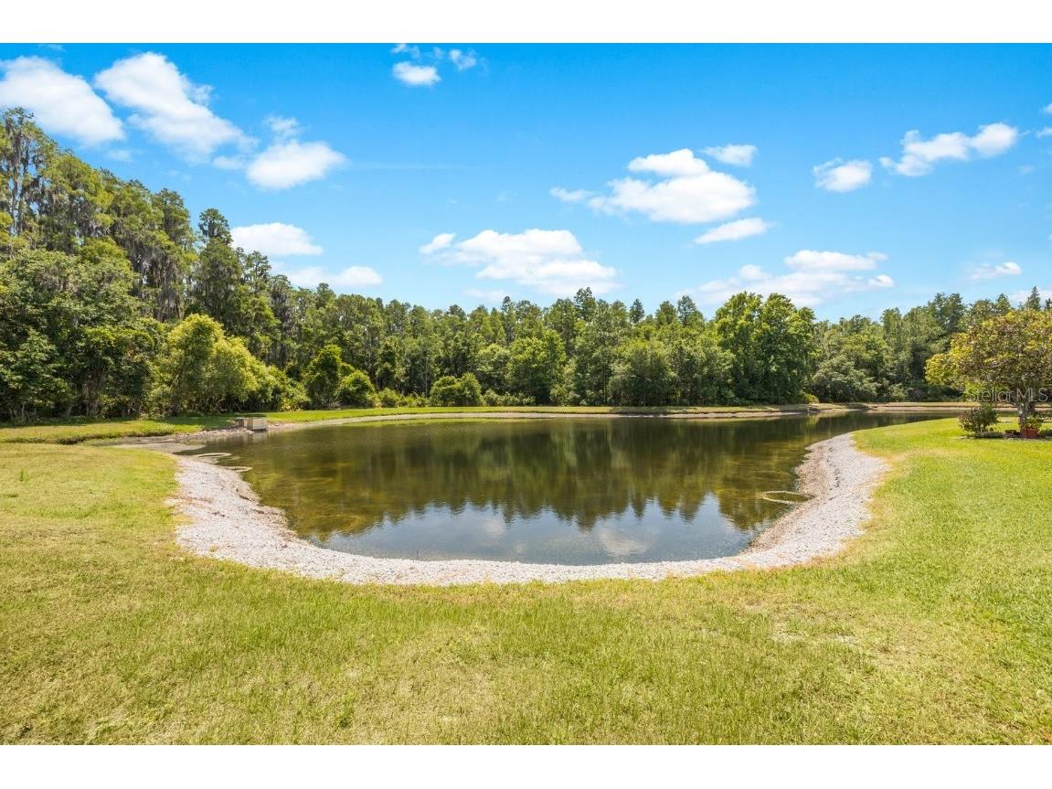 30315 Lettingwell Circle Wesley Chapel FL 33543 T3526570 image33