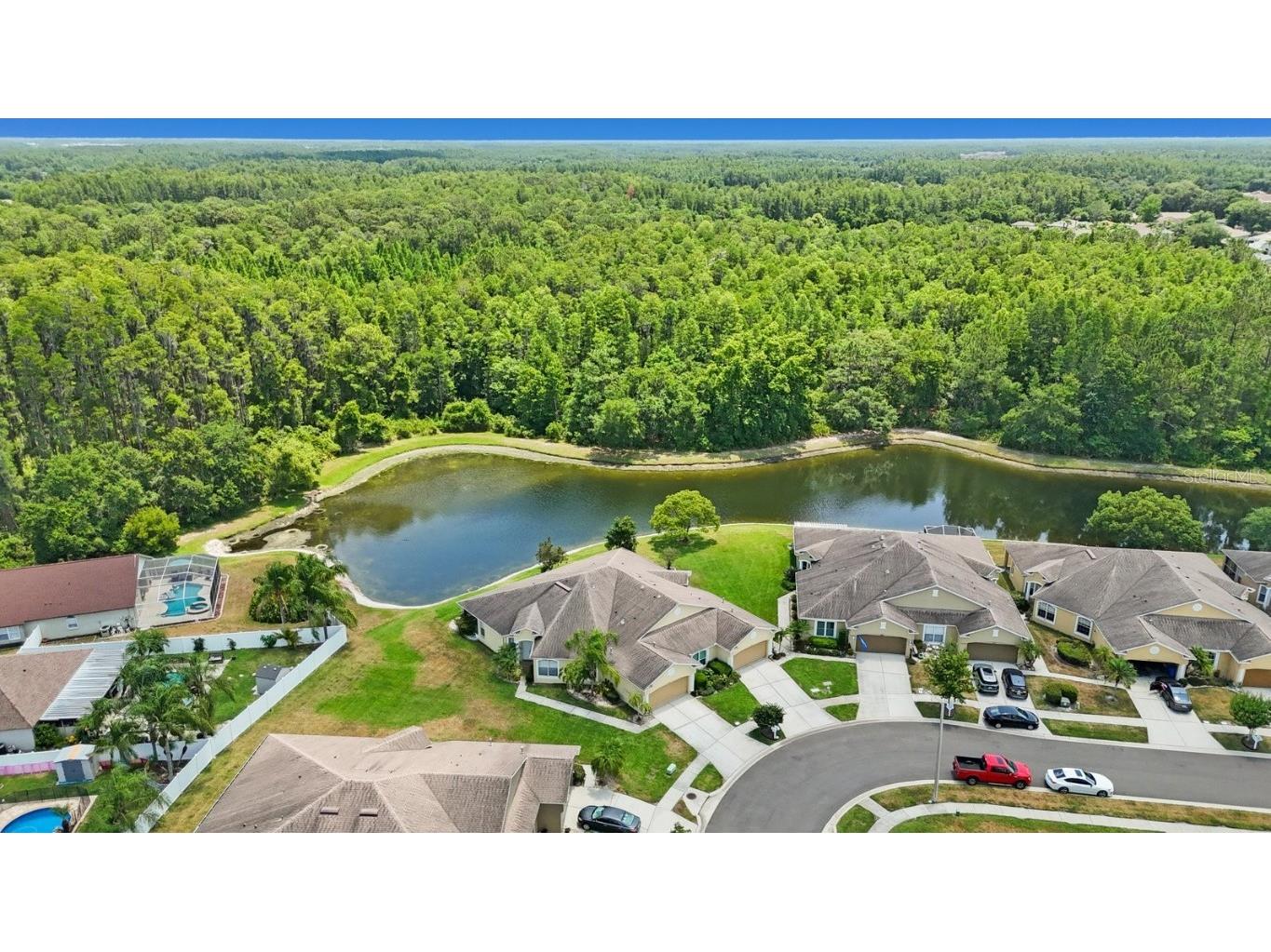 30315 Lettingwell Circle Wesley Chapel FL 33543 T3526570 image38