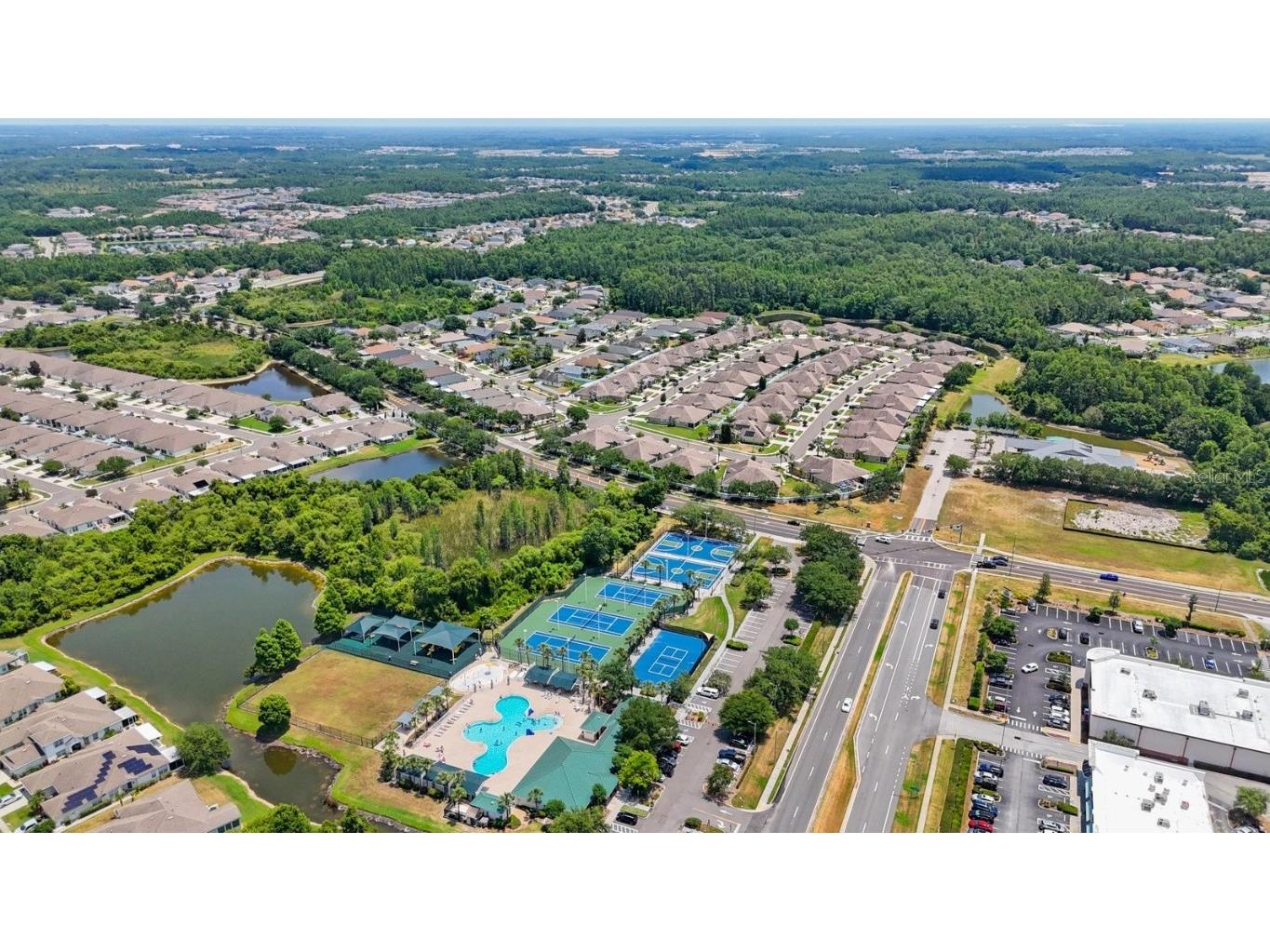 30315 Lettingwell Circle Wesley Chapel FL 33543 T3526570 image39