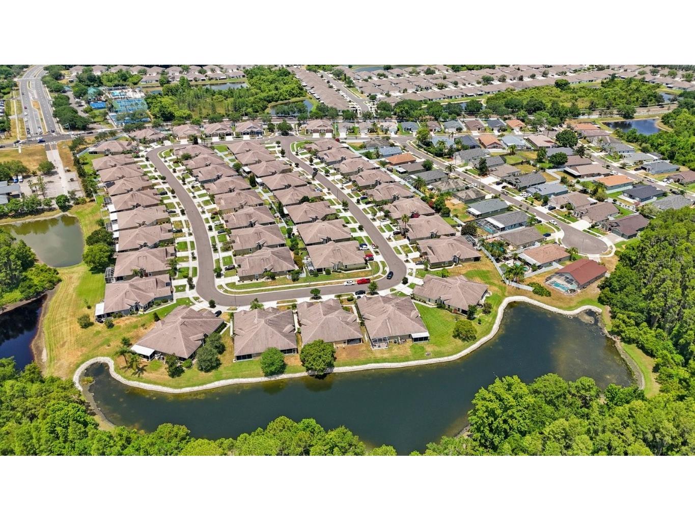 30315 Lettingwell Circle Wesley Chapel FL 33543 T3526570 image41