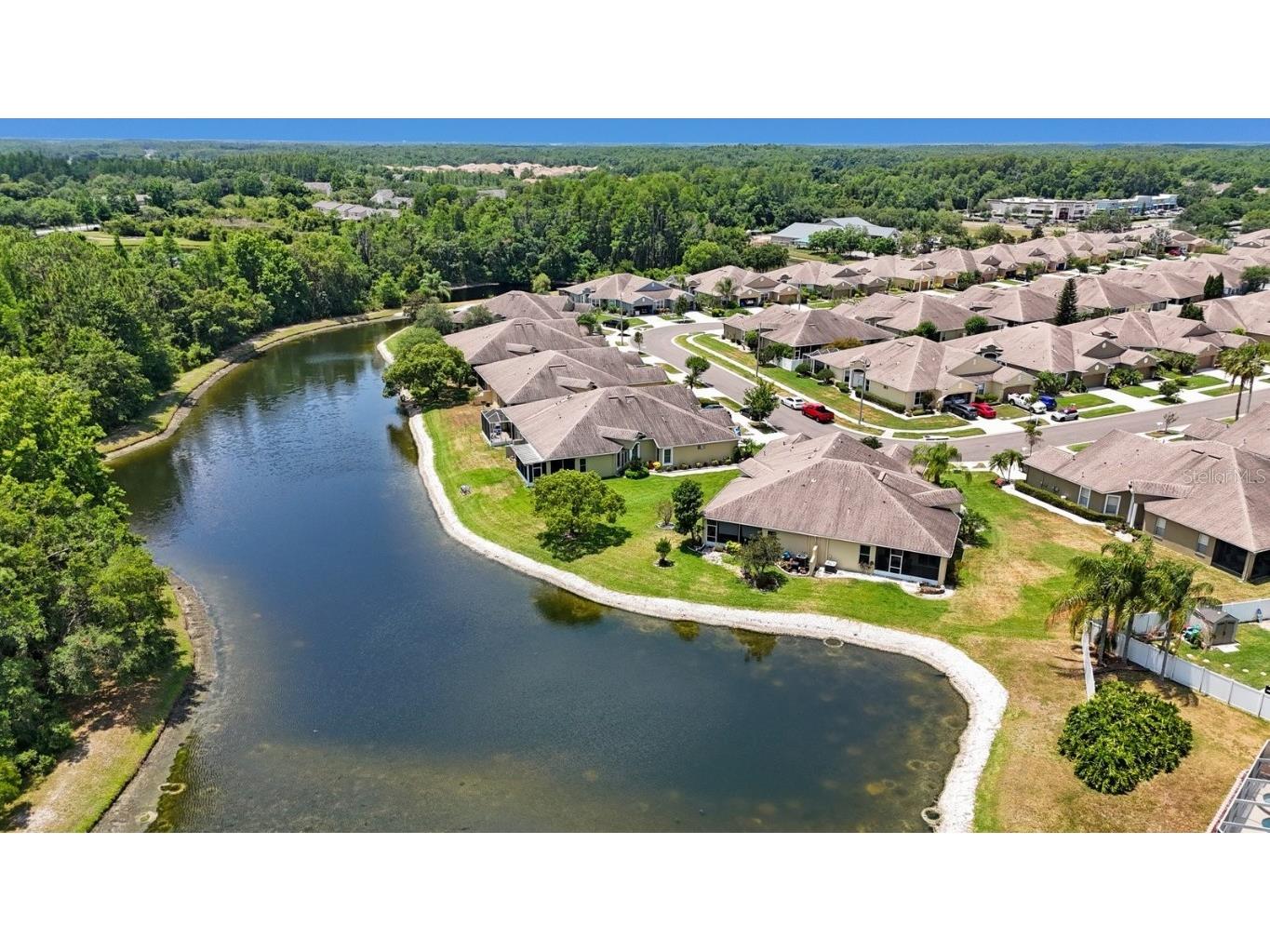 30315 Lettingwell Circle Wesley Chapel FL 33543 T3526570 image42