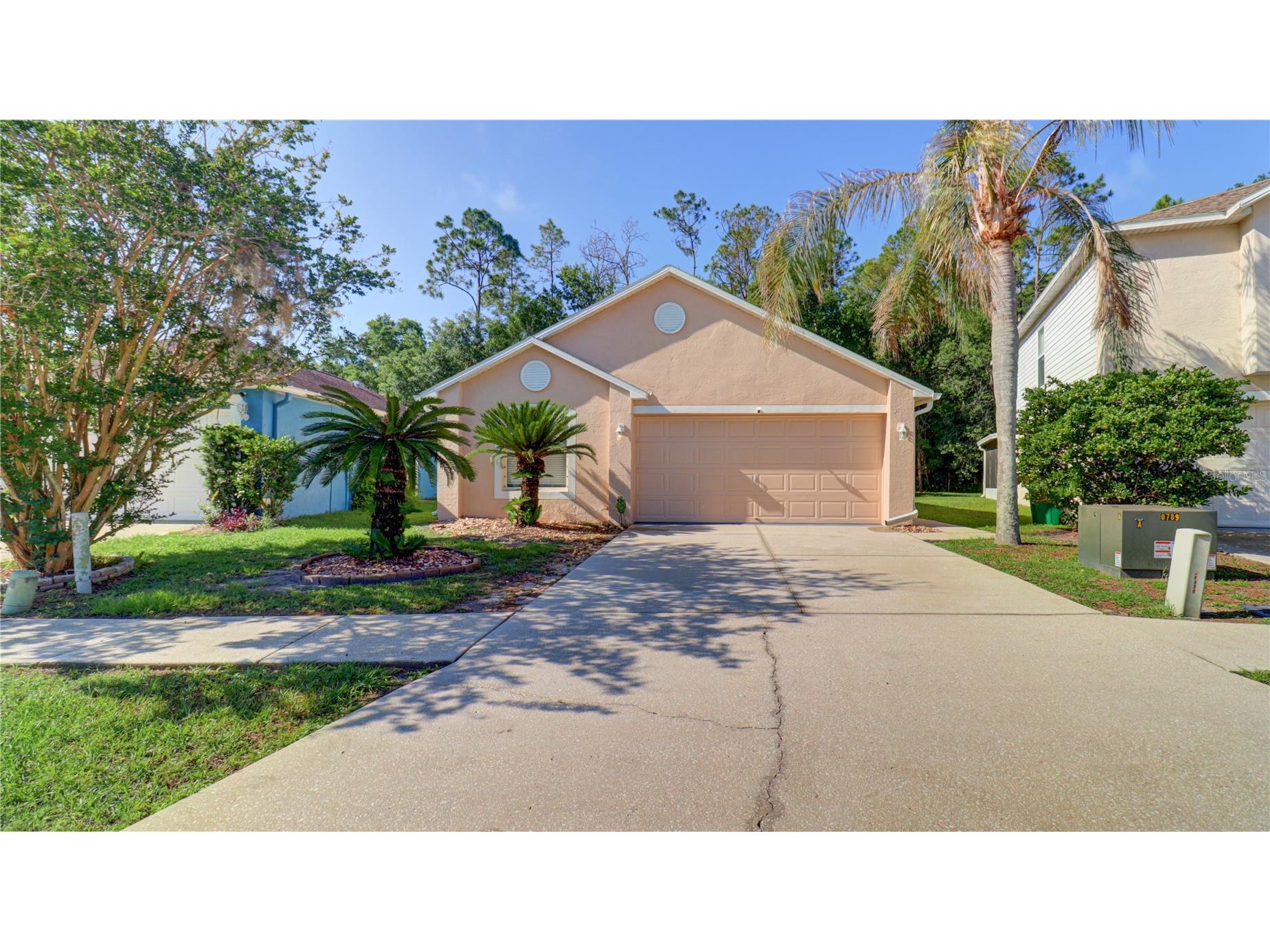 30316 Double Drive Wesley Chapel FL 33545 TB8511163 image1