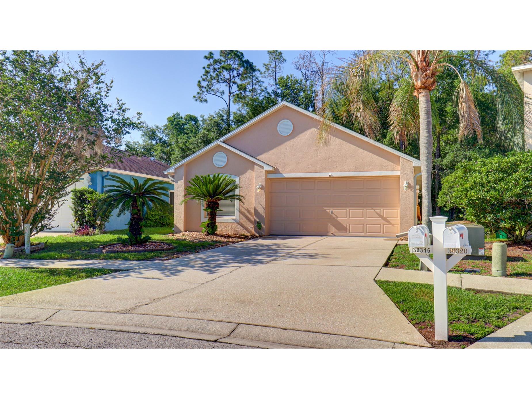 30316 Double Drive Wesley Chapel FL 33545 TB8511163 image2