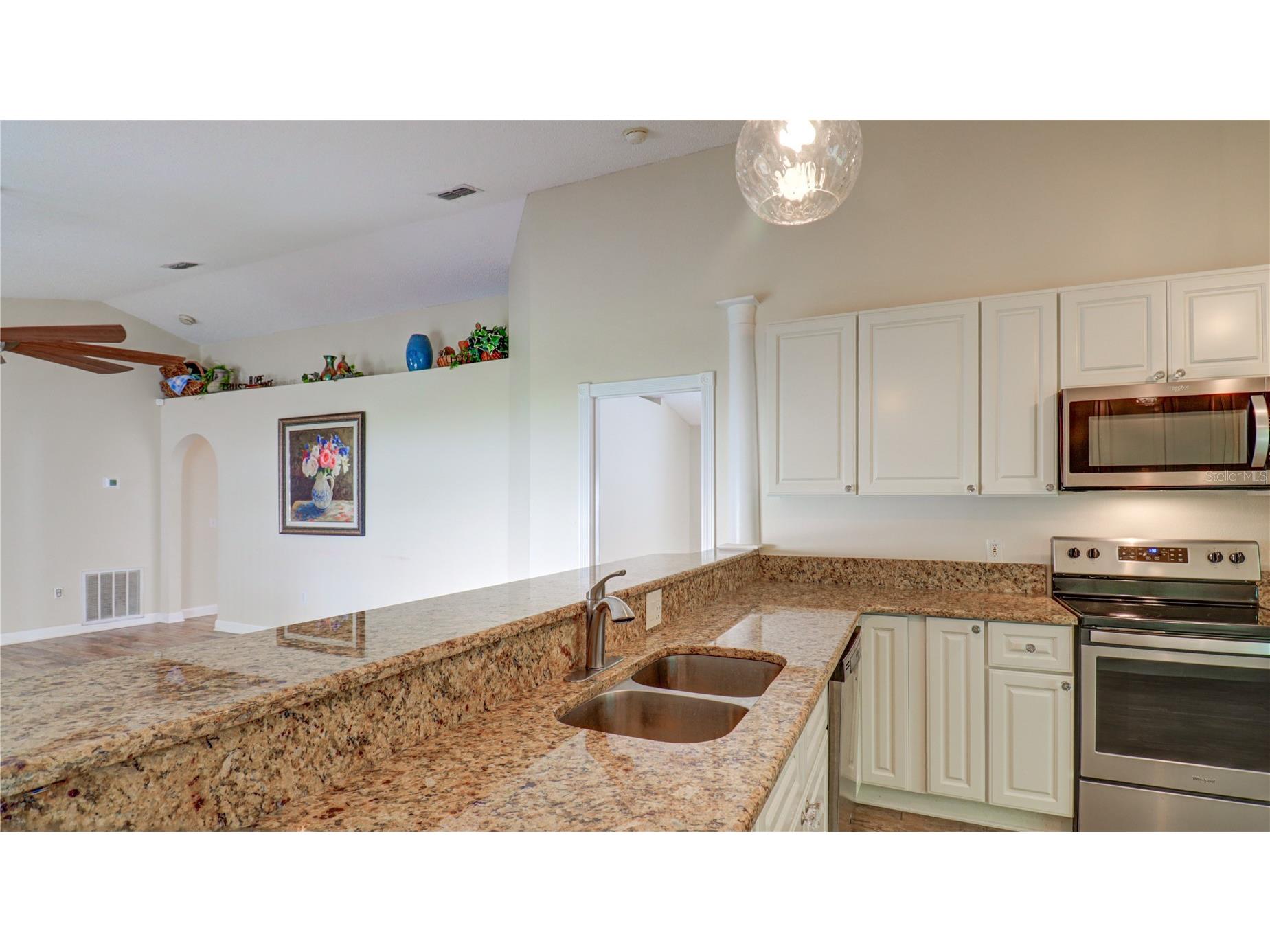 30316 Double Drive Wesley Chapel FL 33545 TB8511163 image21