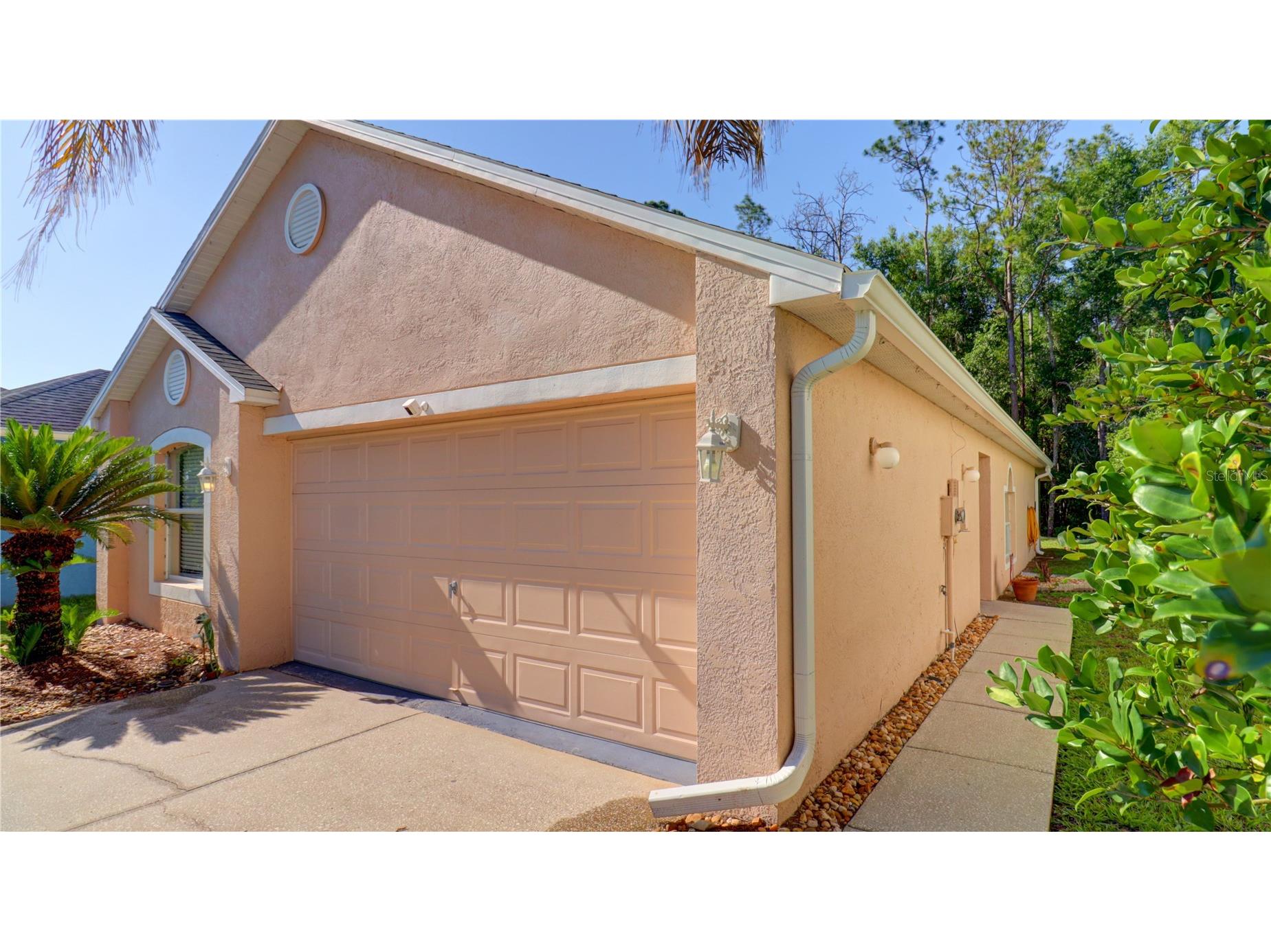 30316 Double Drive Wesley Chapel FL 33545 TB8511163 image5