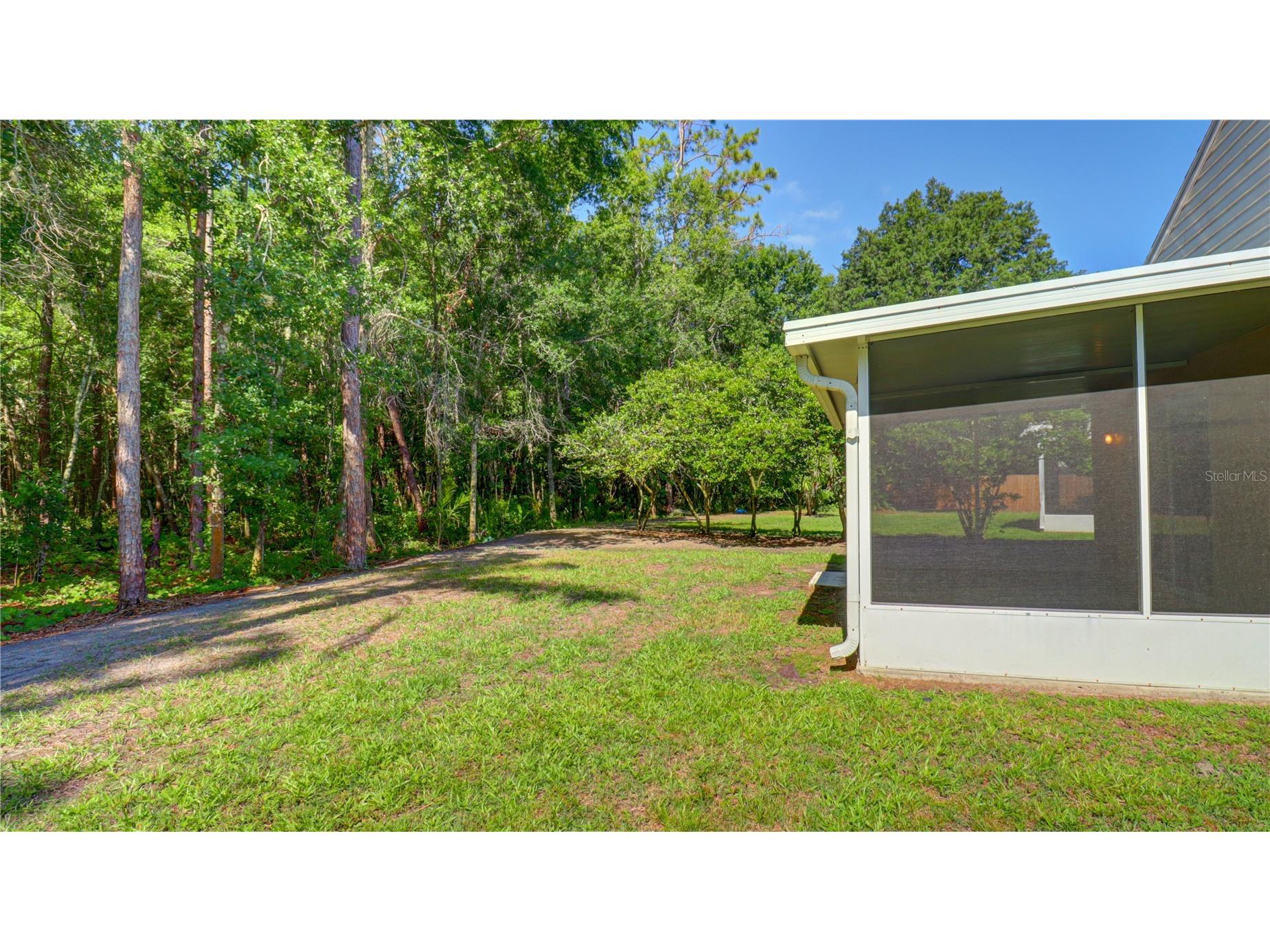 30316 Double Drive Wesley Chapel FL 33545 TB8511163 image50