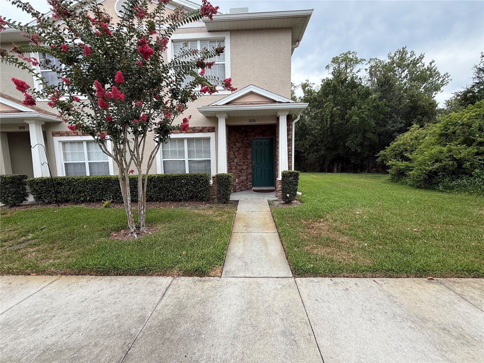 30316 Elderwood Drive Wesley Chapel FL 33543 TB8522812 image1