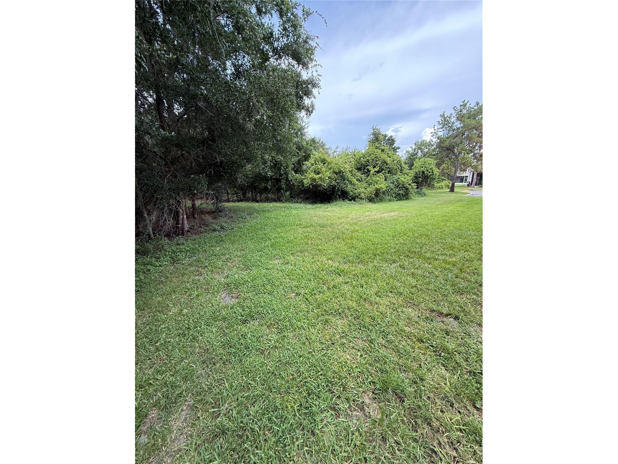 30316 Elderwood Drive Wesley Chapel FL 33543 TB8522812 image19