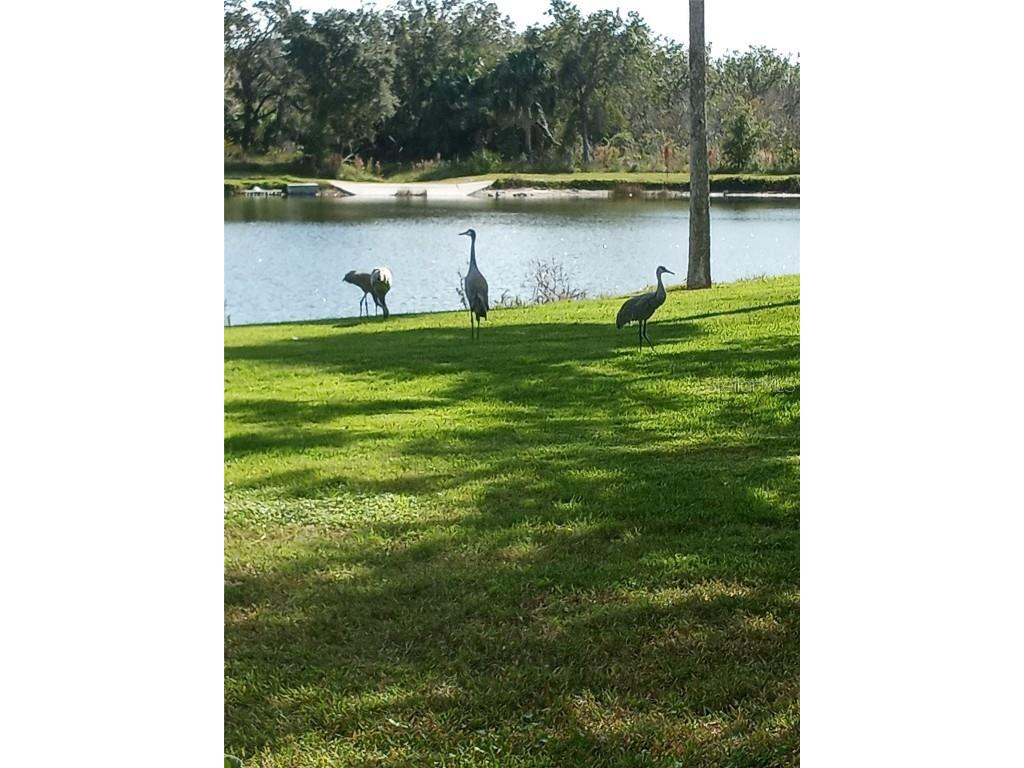 3032 Heron Lake Court #7B Venice FL 34293 A4655985 image19