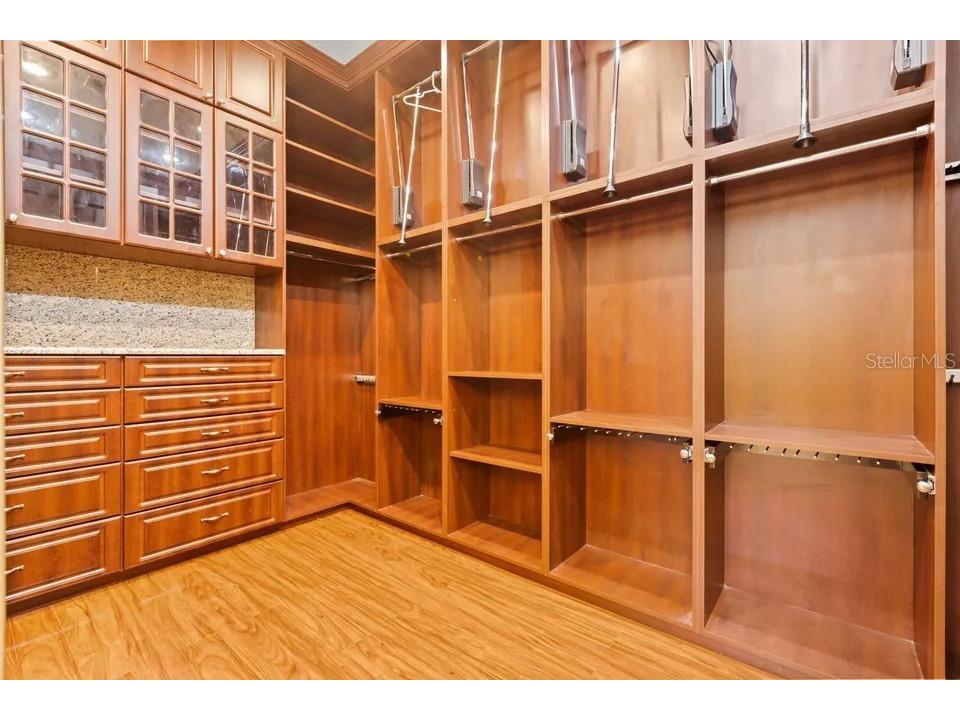 30324 Laurelwood Lane Wesley Chapel FL 33543 TB8521080 image18